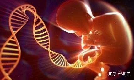 50多岁的妇女还能做试管婴儿吗？