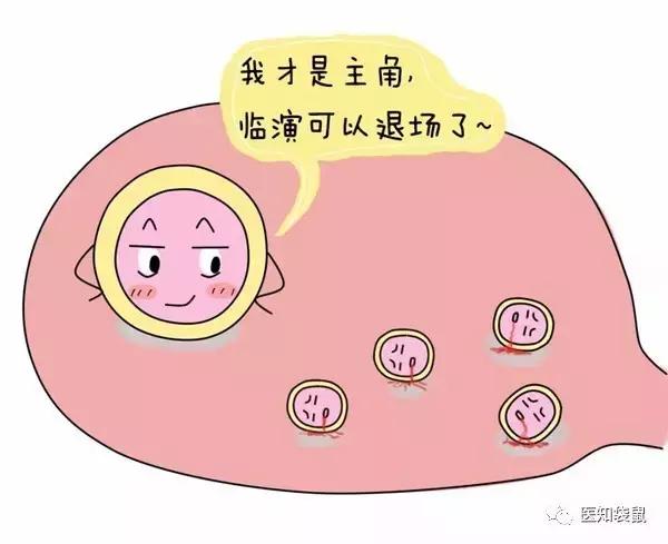 供卵试管婴儿取卵后的过程揭秘，你知道是什么吗？
