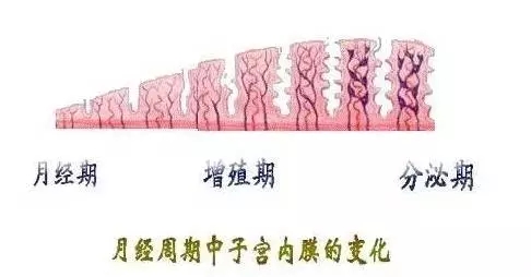 供卵试管婴儿费用，供卵试管婴儿费用大概几万，上海传统的生育力