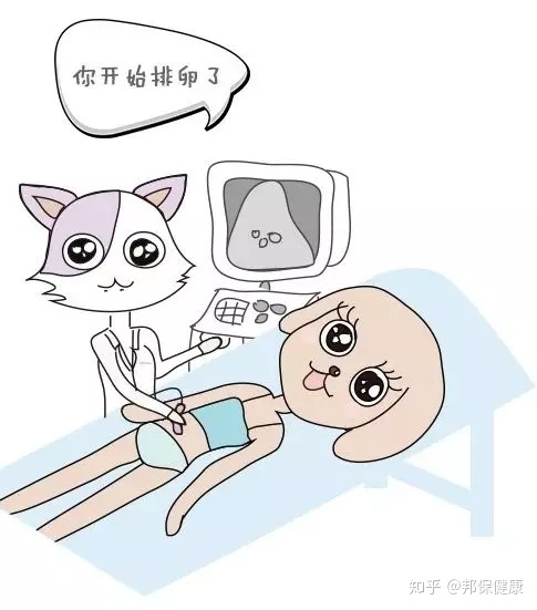 孙岩生殖医生供卵试管婴儿怎么样