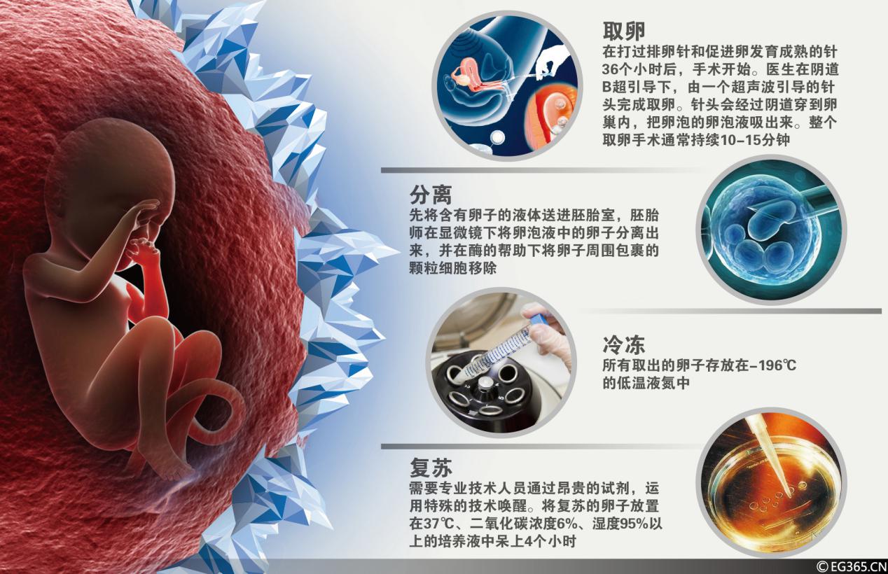 供卵做试管婴儿写给害怕取卵后出现腹水的姐妹们