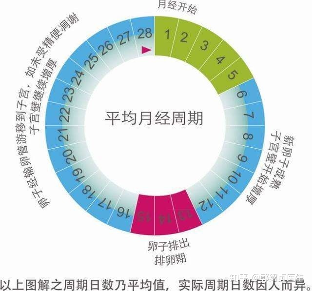 供卵试管婴儿雌激素的补充-供卵试管婴儿雌激素的补充