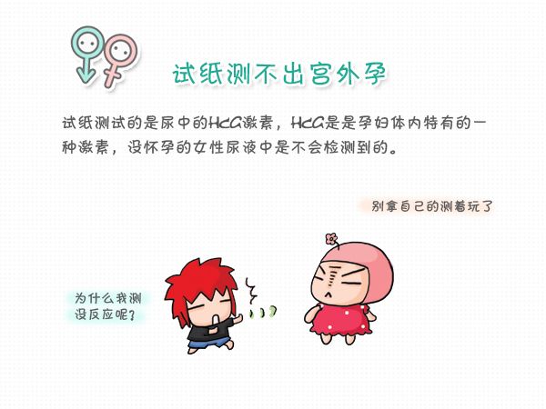 精子太少是否会对做供卵试管代生价格的成功率产生不利影响？