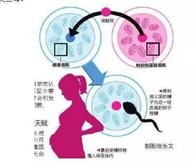 准备借卵做试管机构需要多长时间？