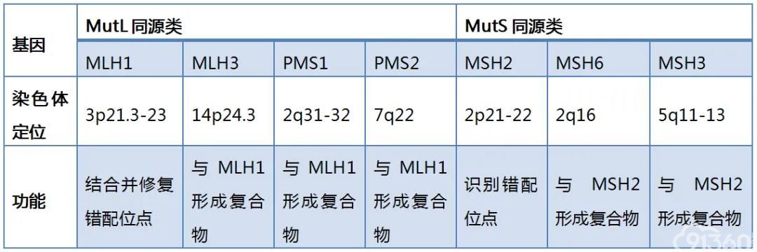 邯郸哪家医院包供卵试管三代供卵成功？