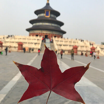 如何调节子宫内膜薄和月经量少，有哪些情况