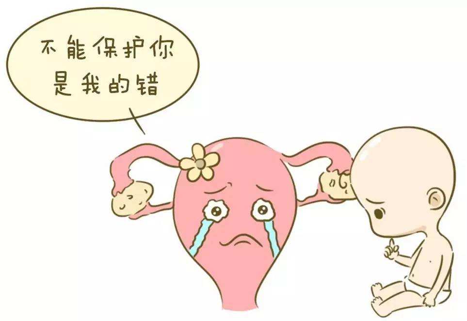 供卵公立供卵试管从体检到最后移植完成需要几个月的时间
