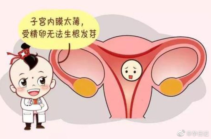 卵巢早衰供卵三代试管能成功吗