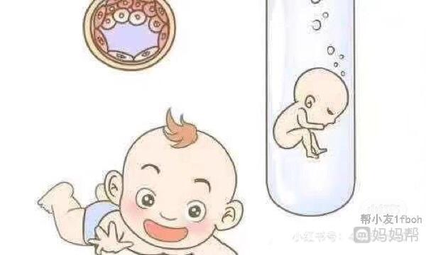 28岁不婚女性可以做三代供卵私立代怀试管吗