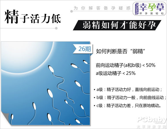 接受供卵试管婴儿的注意事项