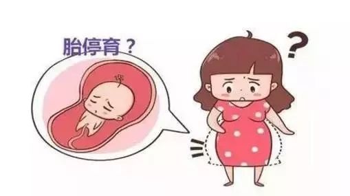 输卵管堵塞供卵做试管做几代