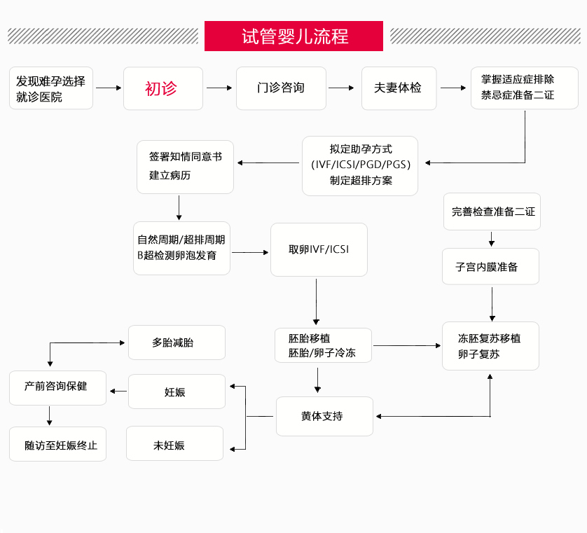 上海哪家供卵试管成功率高