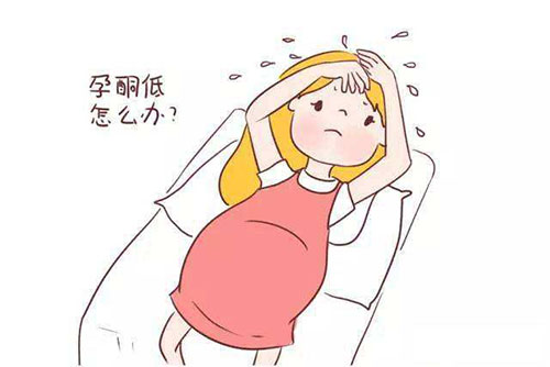 借卵试管婴儿一次取卵多少个