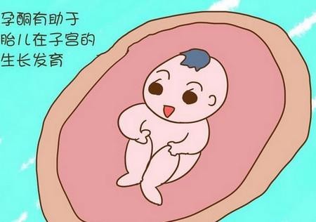 借卵试管婴儿一次取卵多少个