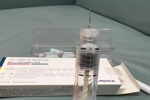 上海借卵做试管可以选择