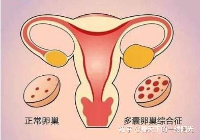 试管婴儿畸形医院有责任吗