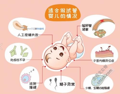 42岁试管只有3个卵泡