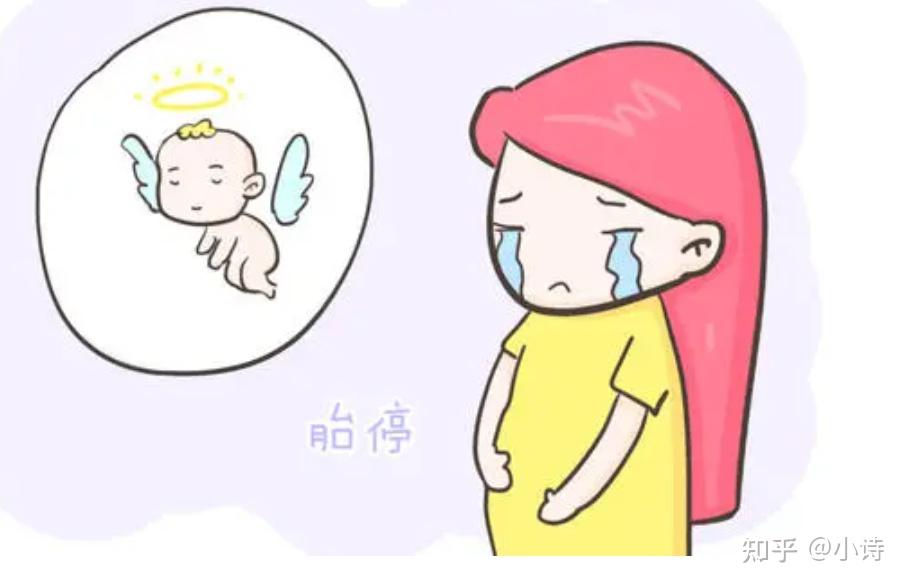 试管建档定方案一天能搞定吗